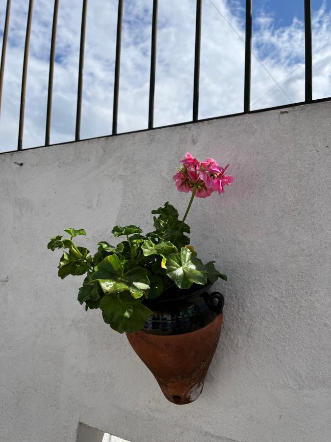 Apartamento Atico Centro 17 Jerez de la Frontera Exterior foto